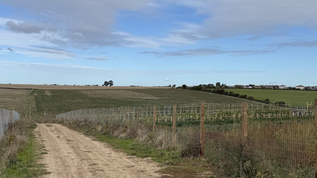 Lot: 30 - LAND EXTENDING TO 15 ACRES - Main image from access road